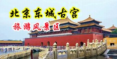 大黑鸡吧操无毛小嫩逼视频中国北京-东城古宫旅游风景区